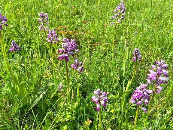 22-05-08 11-08-04 0765